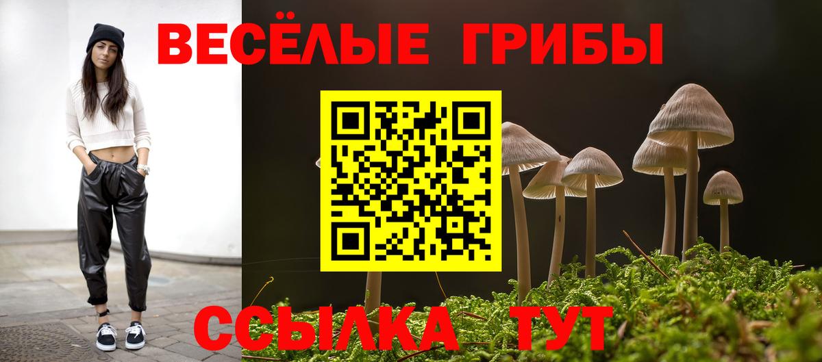 Псилоцибиновые грибы ЛСД Ростов Великий