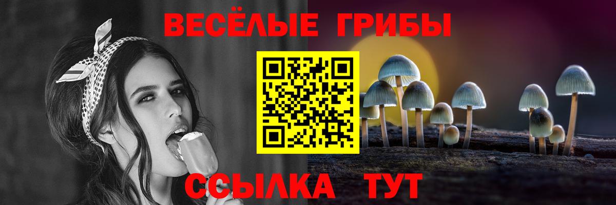 Ростов Великий  Псилоцибиновые грибы Magic Shrooms  магазин продажи   Вход с VPN 
